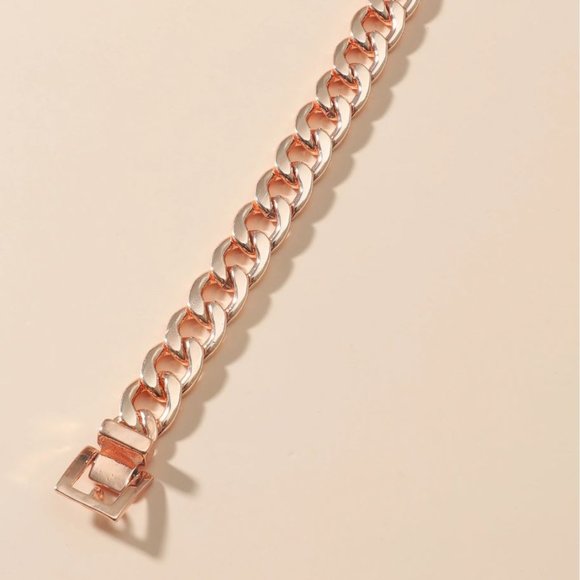 BWT Belt Chain Link Bracelet - Picture 3 of 3